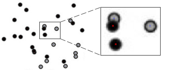 The annotations are barely visible because they consist of 1-pixel marks, but the figure shows the data point annotations with female ones being marked with blue pixels and male ones with red pixels.